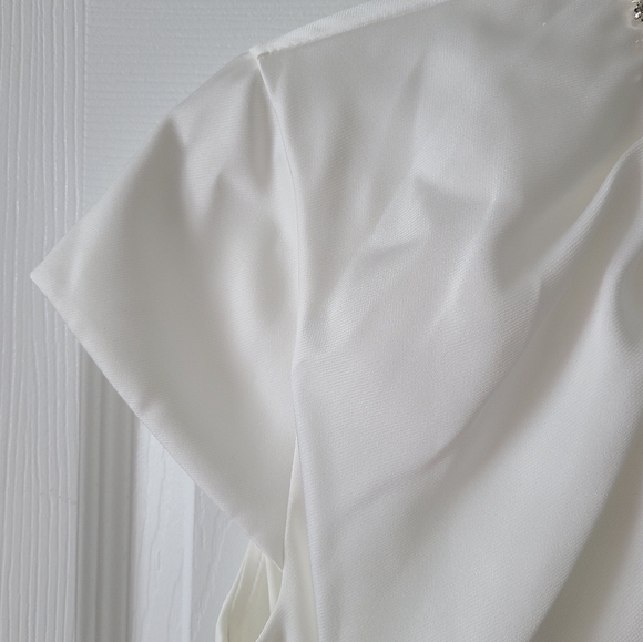 Ieena For Mac Duggal Shift Dress - Picture 5 of 7